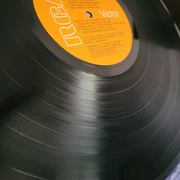 Elvis Presley – Elvis Country (I’m 10,000 Years Old) Vinyl LP – 1971 RCA - Picture 3 of 6